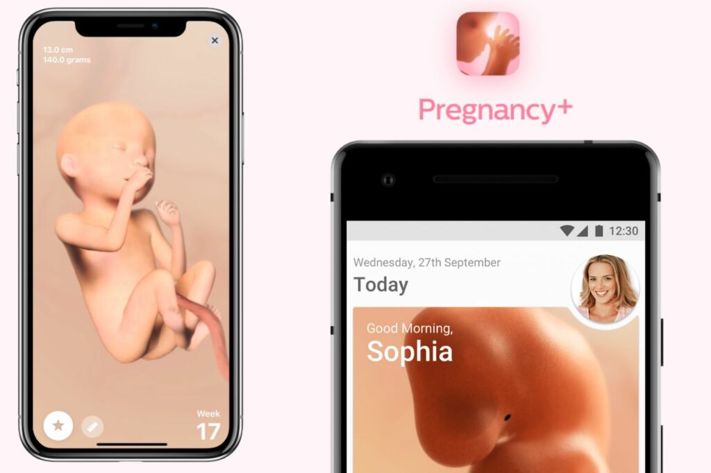Telas do aplicativo Pregnancy+ mostrando o desenvolvimento do bebê em 3D e informações semanais da gestação, disponíveis para dispositivos Android e iOS